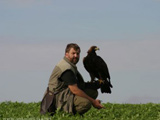 Falconry, a living human heritage