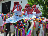 Ride of the Kings in the south-east of the Czech Republic  Slovcko, Han